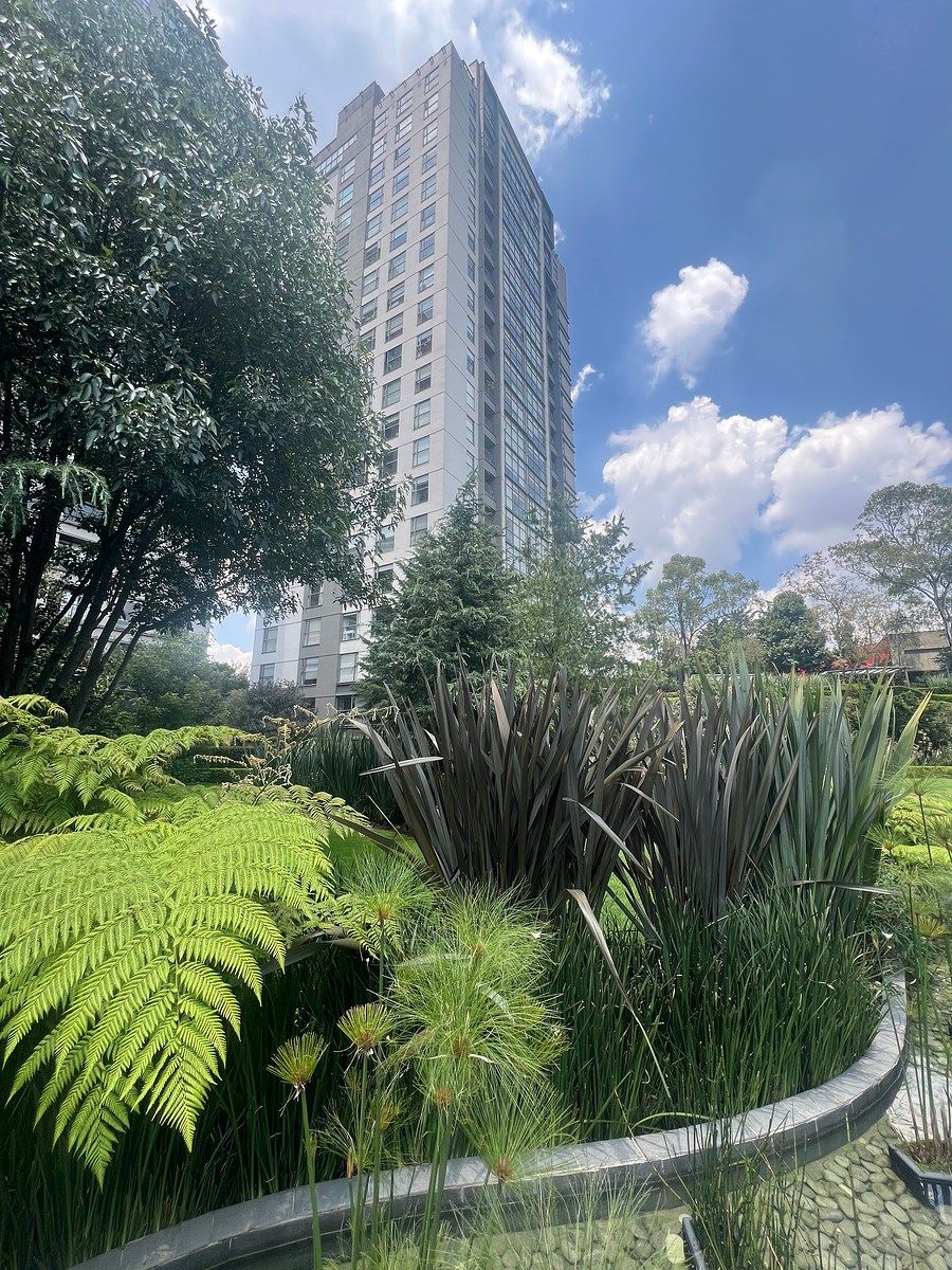 Apartamento em Cuajimalpa, Cuajimalpa de Morelos, foto 26 de 27