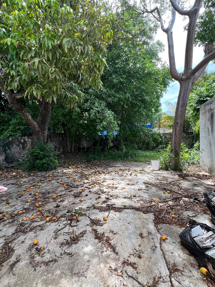 Casa em Mérida Centro, Mérida, foto 21 de 31