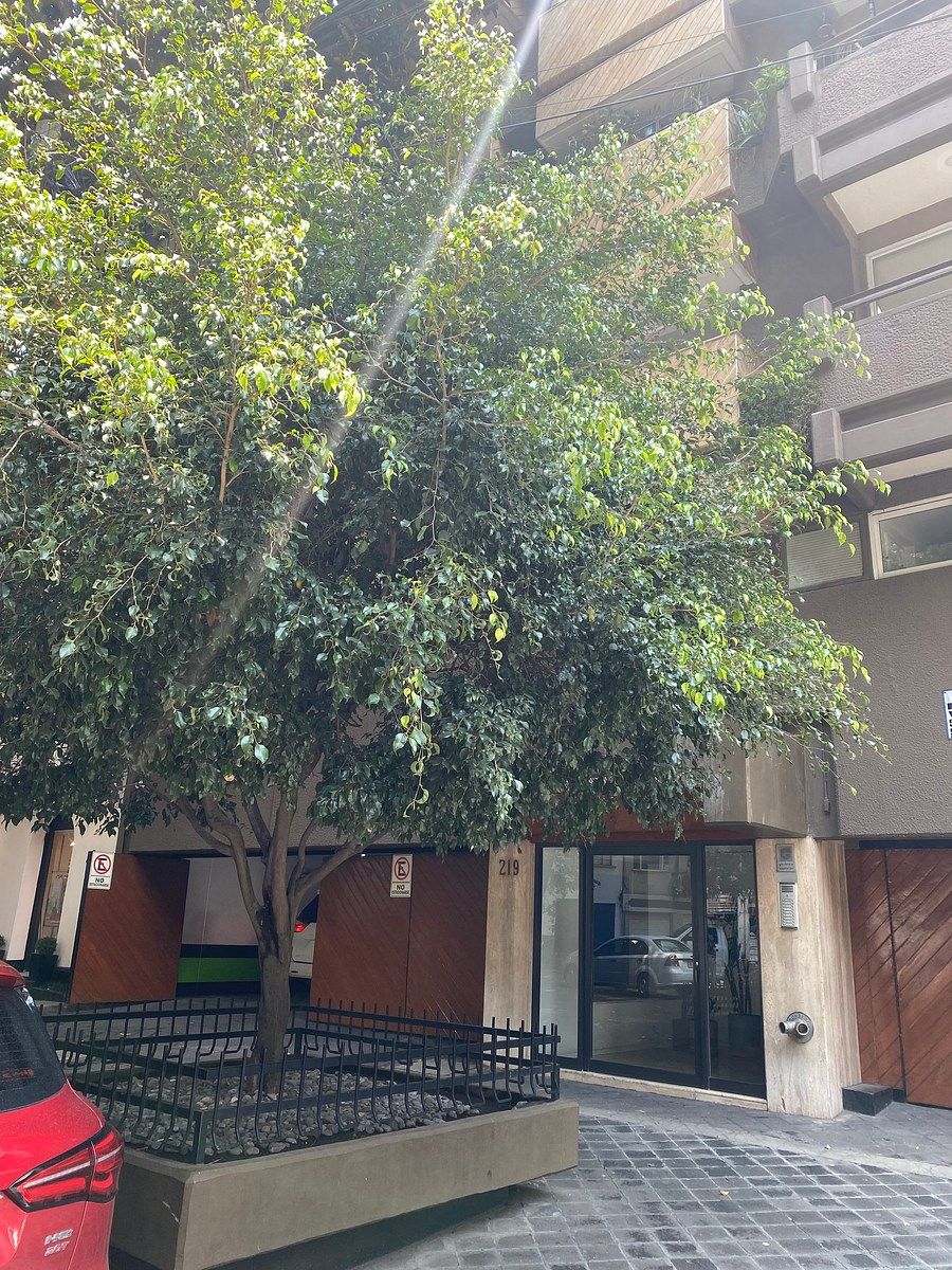 Departamento en Polanco III Sección, Miguel Hidalgo, foto 3 de 12
