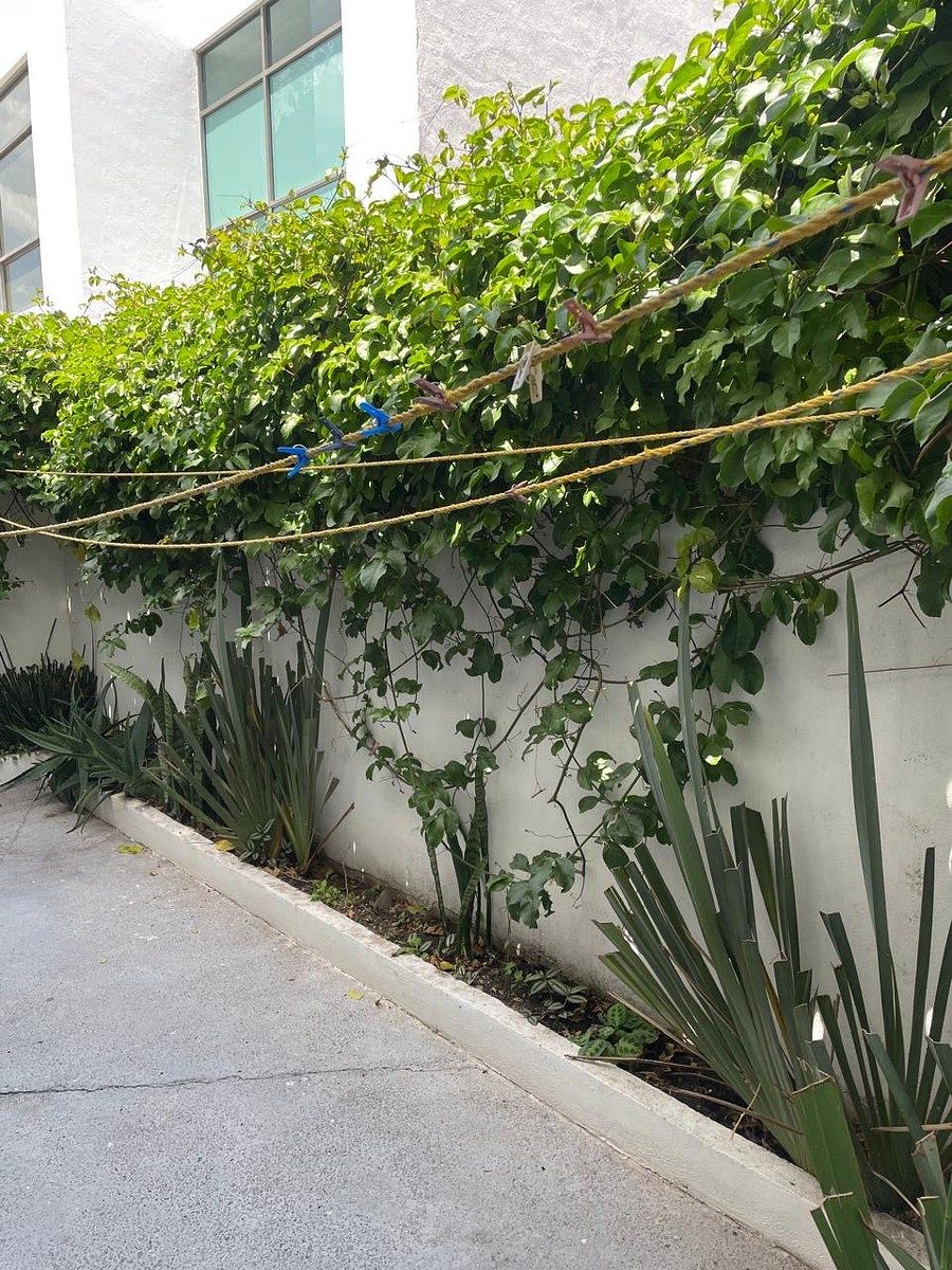 Casa en condominio en El Mirador, Querétaro, foto 15 de 22