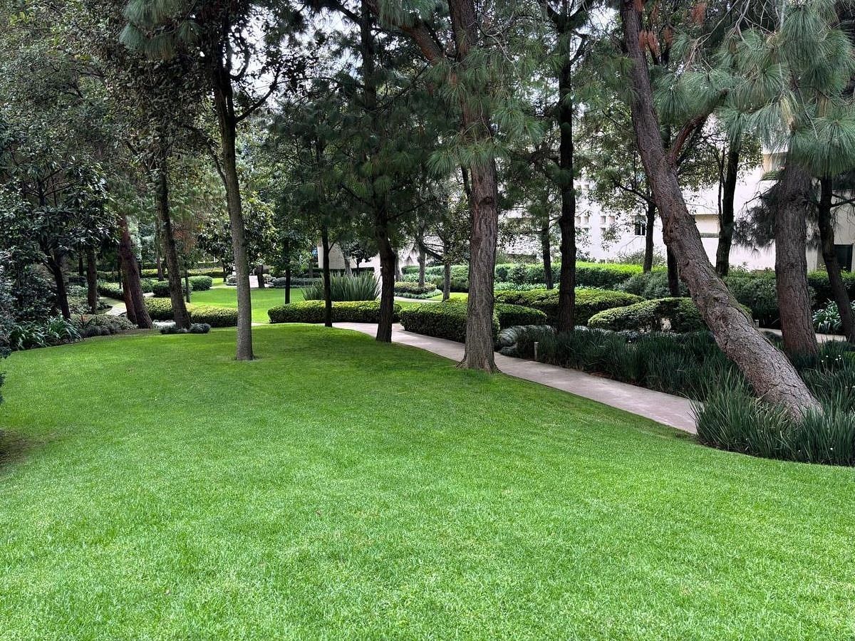 Apartamento em Lomas de Vista Hermosa, Cuajimalpa de Morelos, foto 28 de 31