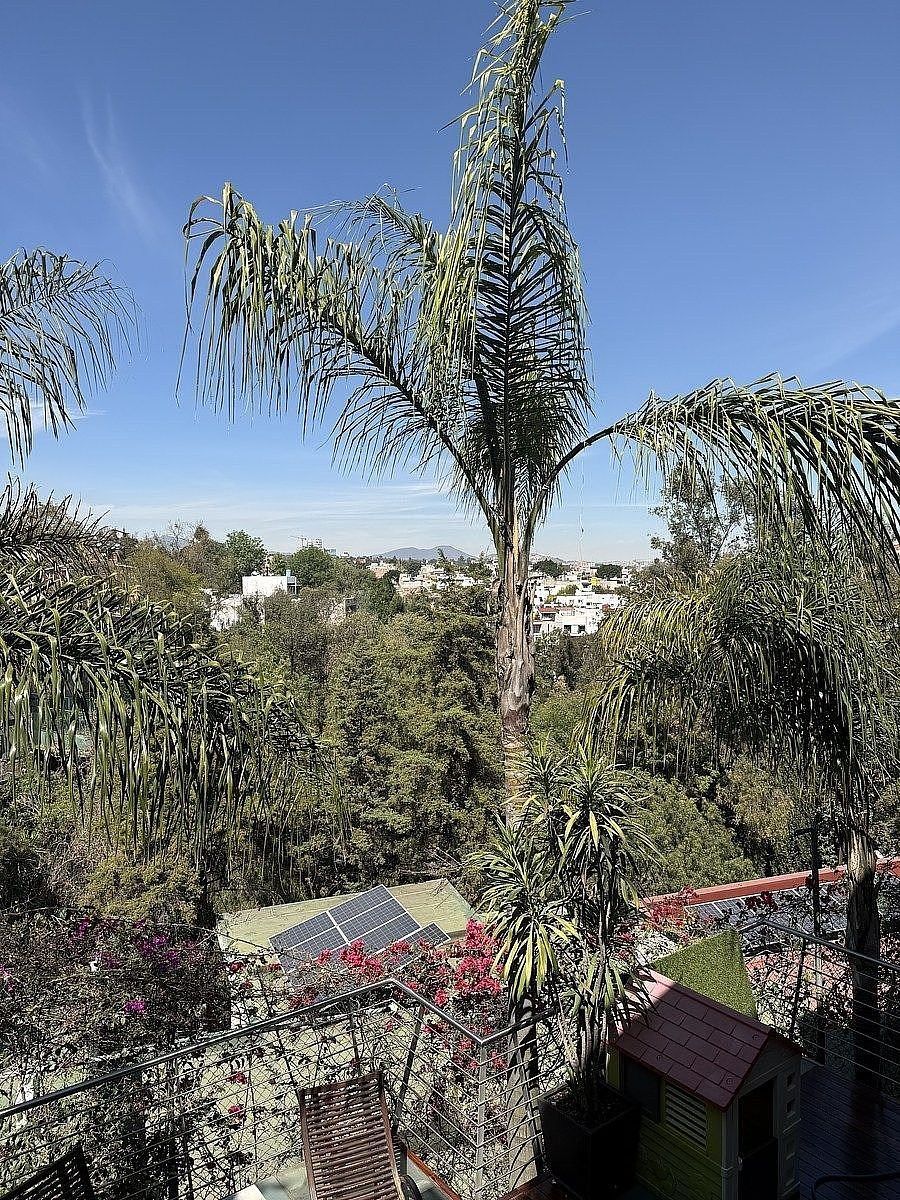 Casa em Lomas de Chapultepec I Sección, Miguel Hidalgo, foto 3 de 17