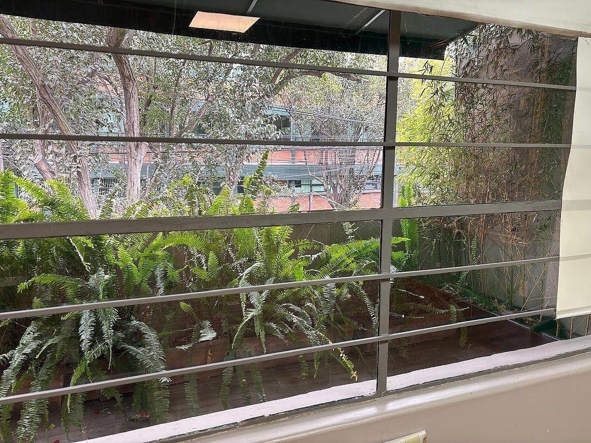 Casa con uso de suelo en Polanco V Sección, Miguel Hidalgo, foto 11 de 16