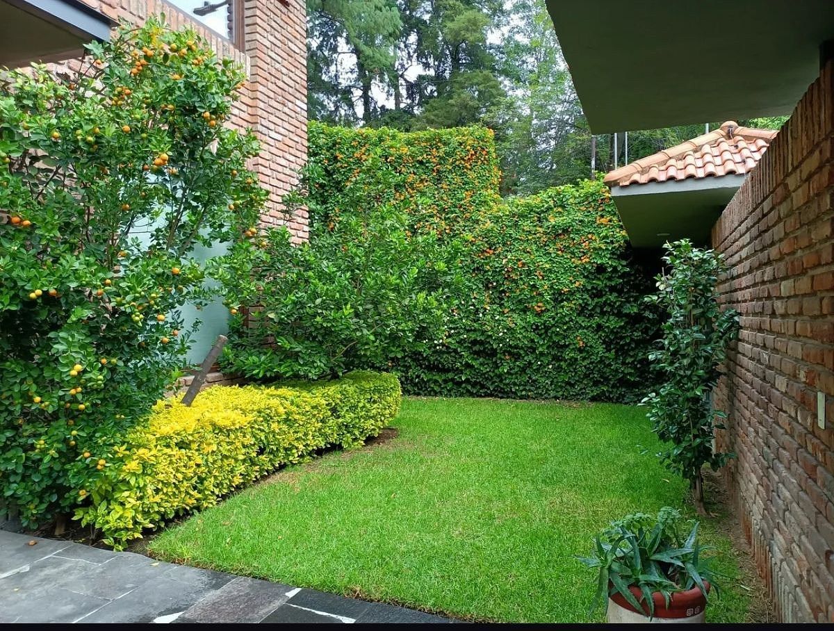 Casa en Lomas de Chapultepec I Sección, Miguel Hidalgo, foto 8 de 20