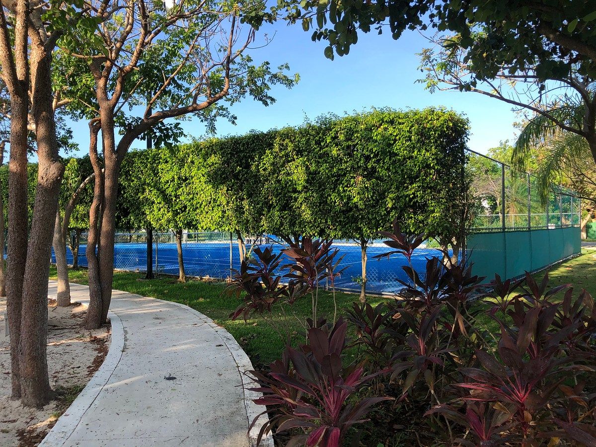 Casa en condominio en Santa Gertrudis Copo, Mérida, foto 25 de 29