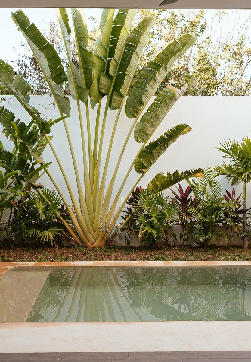 Casa en condominio en Cholul, Mérida, foto 8 de 11