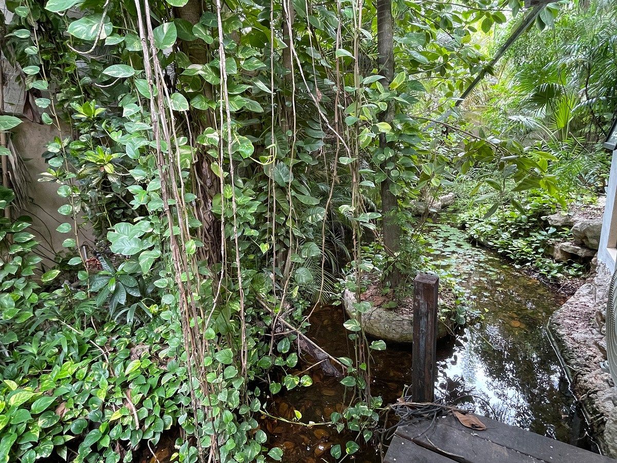 Casa en Santa María Yaxché, Mérida, foto 12 de 15