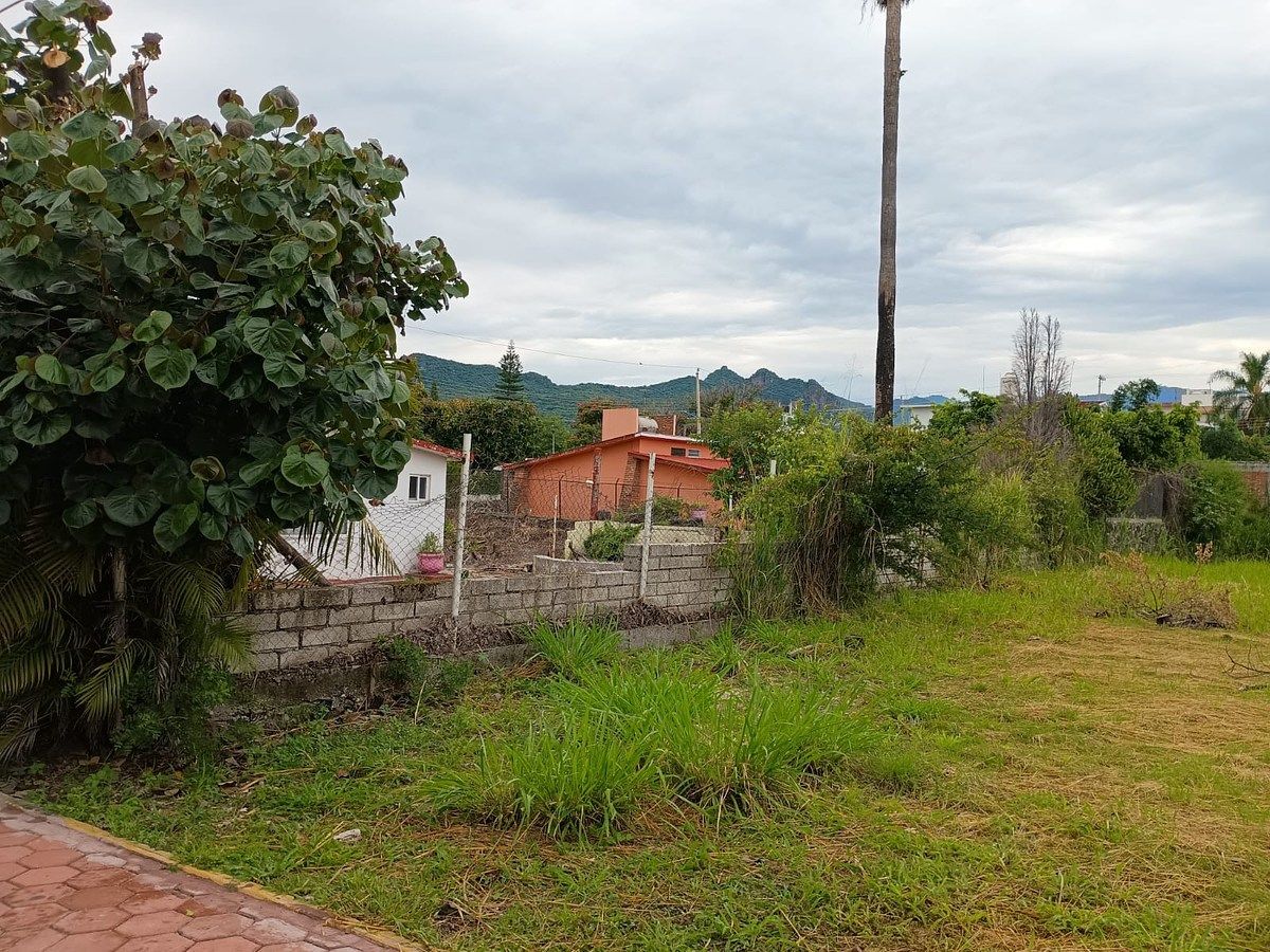 INVESTMENT OPPORTUNITY, photo 1 of 5