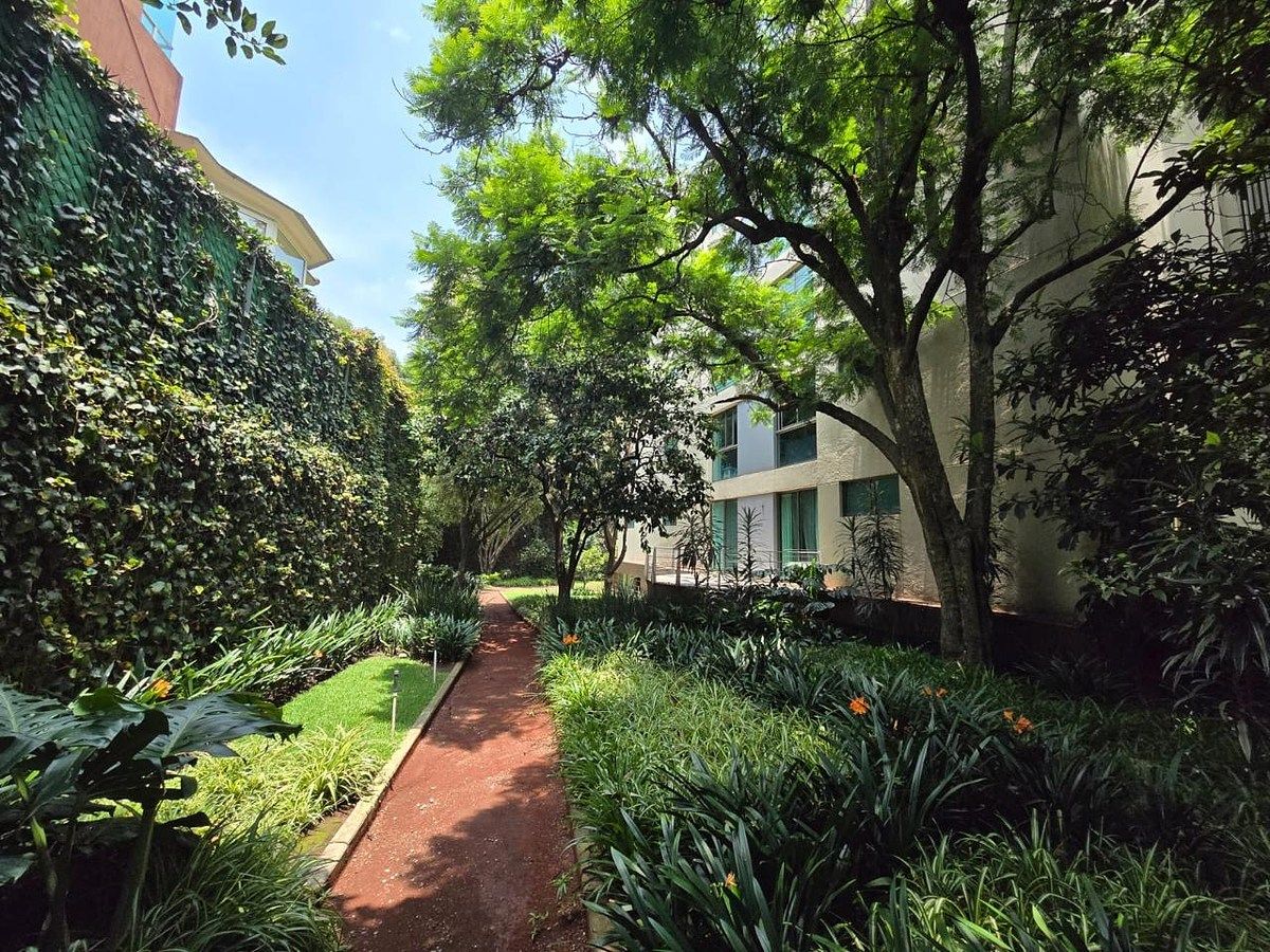 Apartment in Florida, Álvaro Obregón, photo 17 of 20