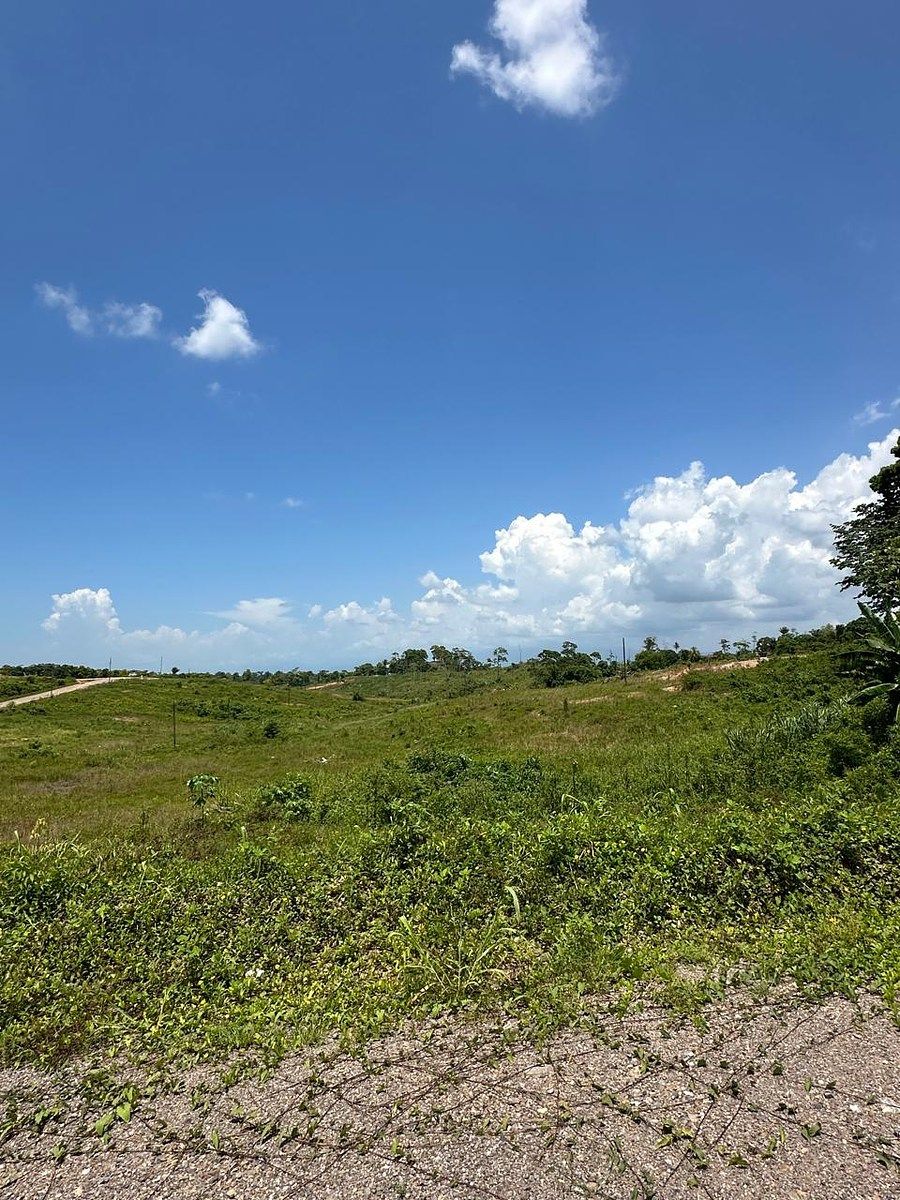 FINCA EN VENTA – KM 286 CARRETERA A PUERTO BARRIOS - Image 1