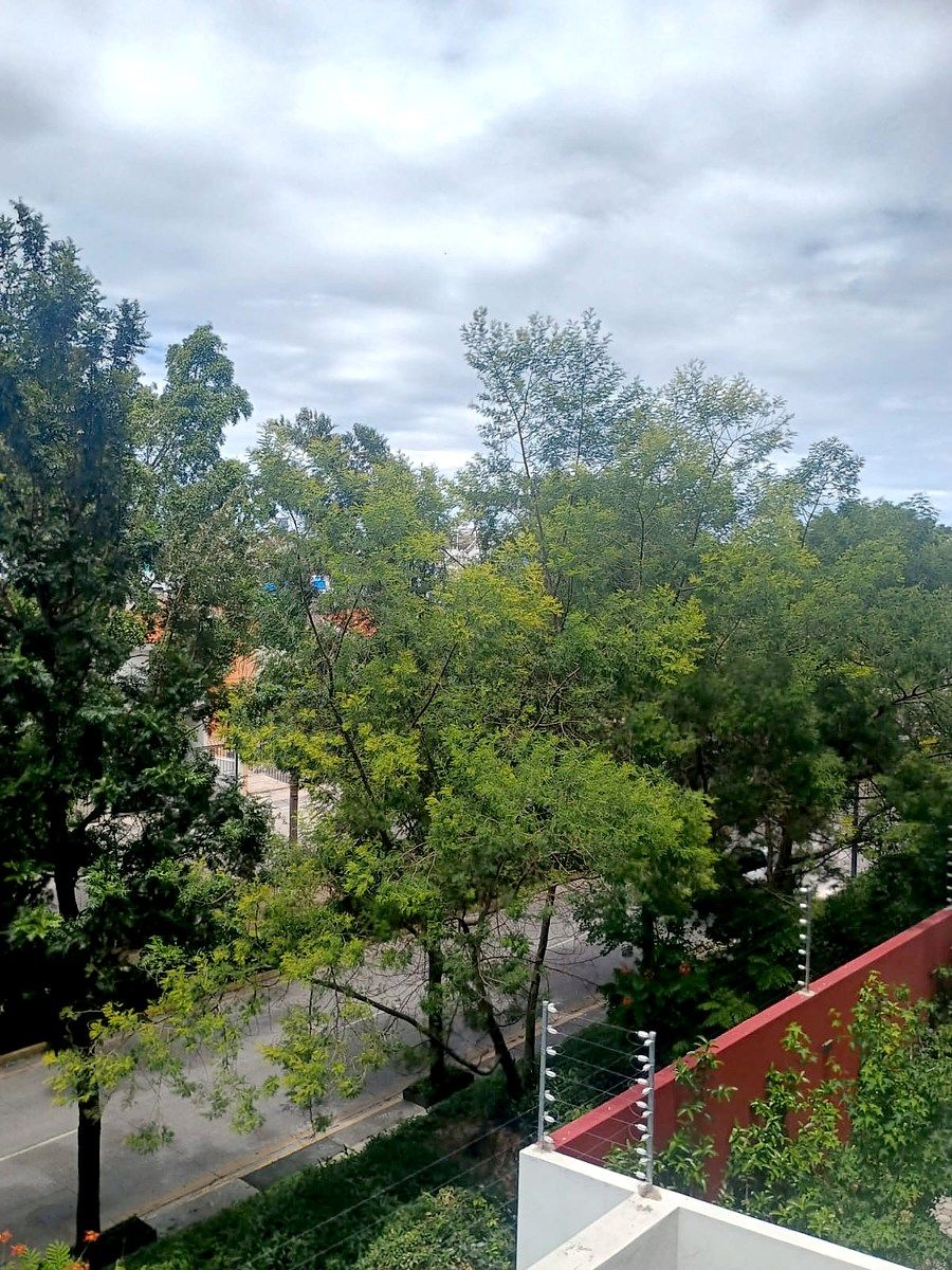 Departamento en El Vigía, Zapopan, foto 22 de 24
