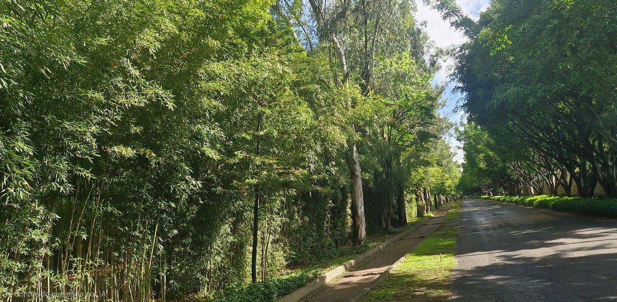 Lote em La Mojonera, Zapopan, foto 15 de 17
