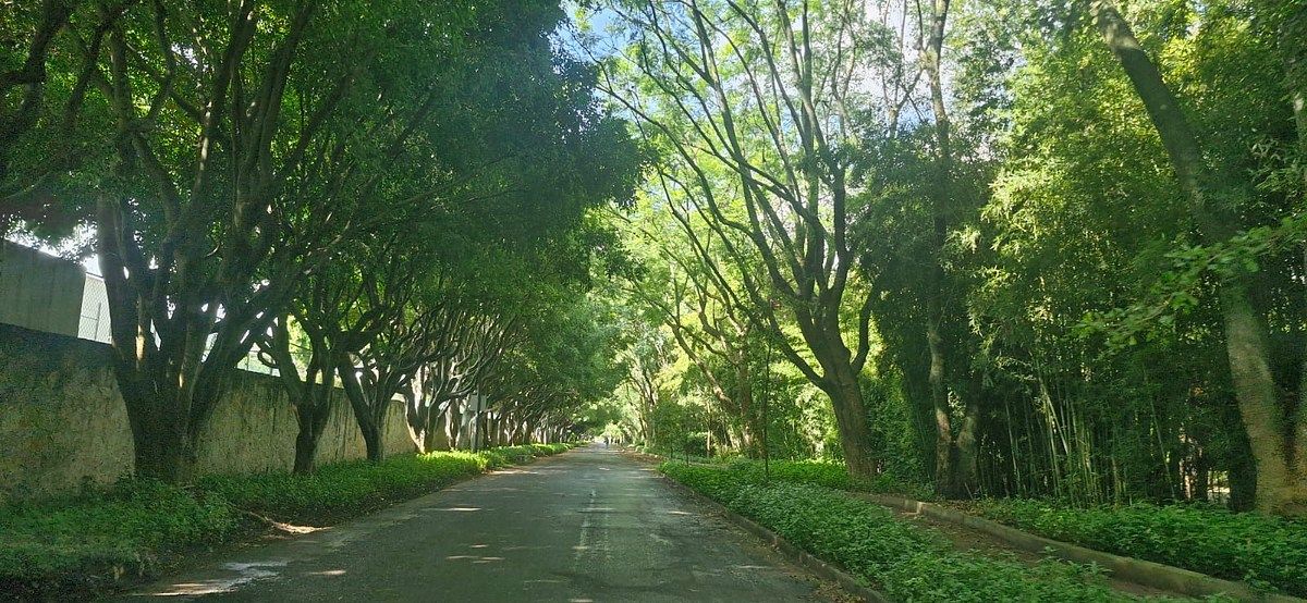 Lote em La Mojonera, Zapopan, foto 17 de 17