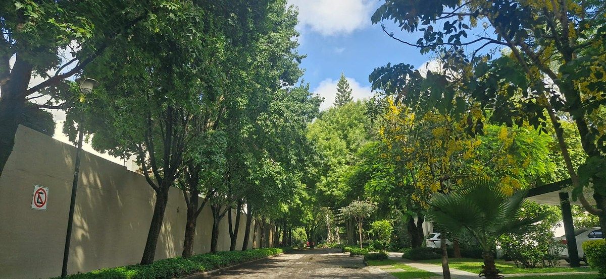 Lote em La Mojonera, Zapopan, foto 16 de 17