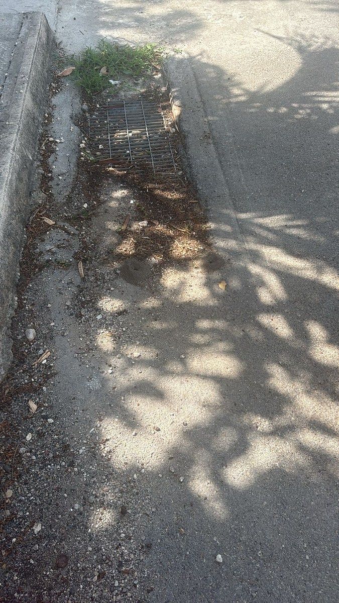 Lote em Kanasín Centro, Kanasín, foto 2 de 5