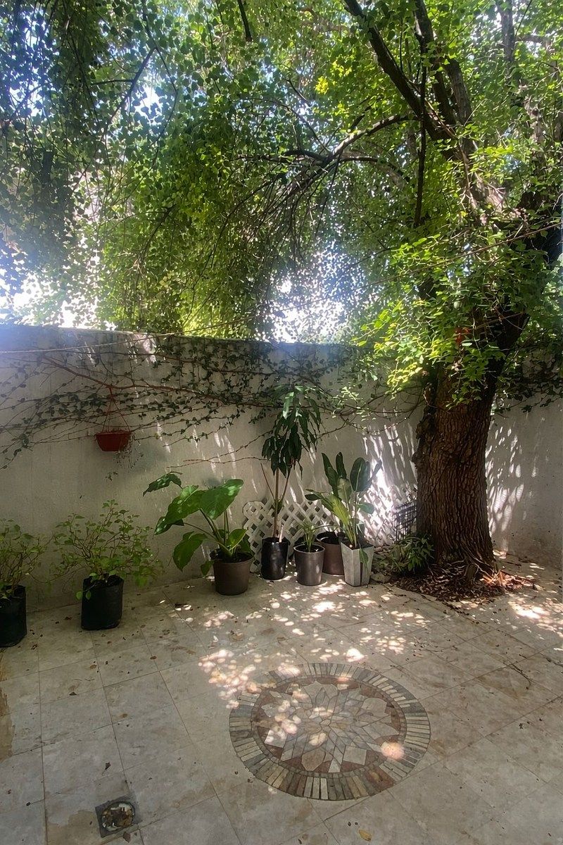 Casa en Jerónimo Siller, San Pedro Garza García, foto 5 de 6