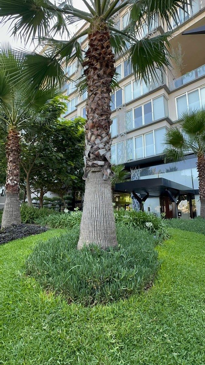 Apartamento em Lomas Altas, Zapopan, foto 7 de 15