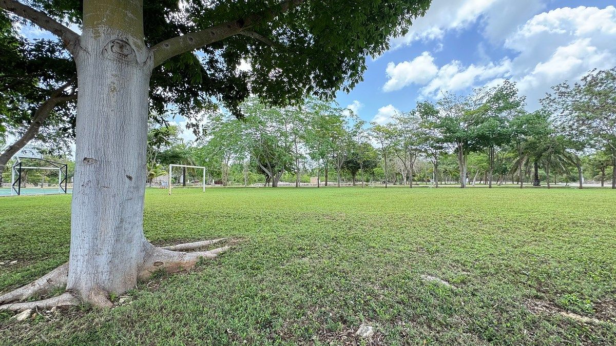 Terreno en Paraíso, Progreso, foto 5 de 14