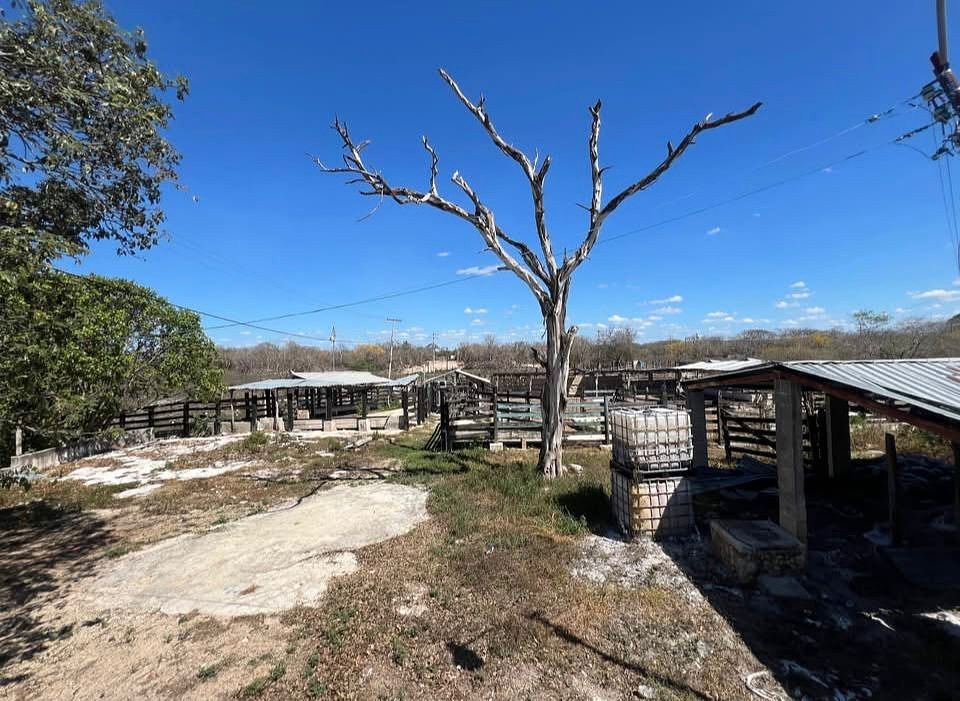 Excellent investment opportunity in Uman Yucatan 5.4 hectares, photo 1 of 7