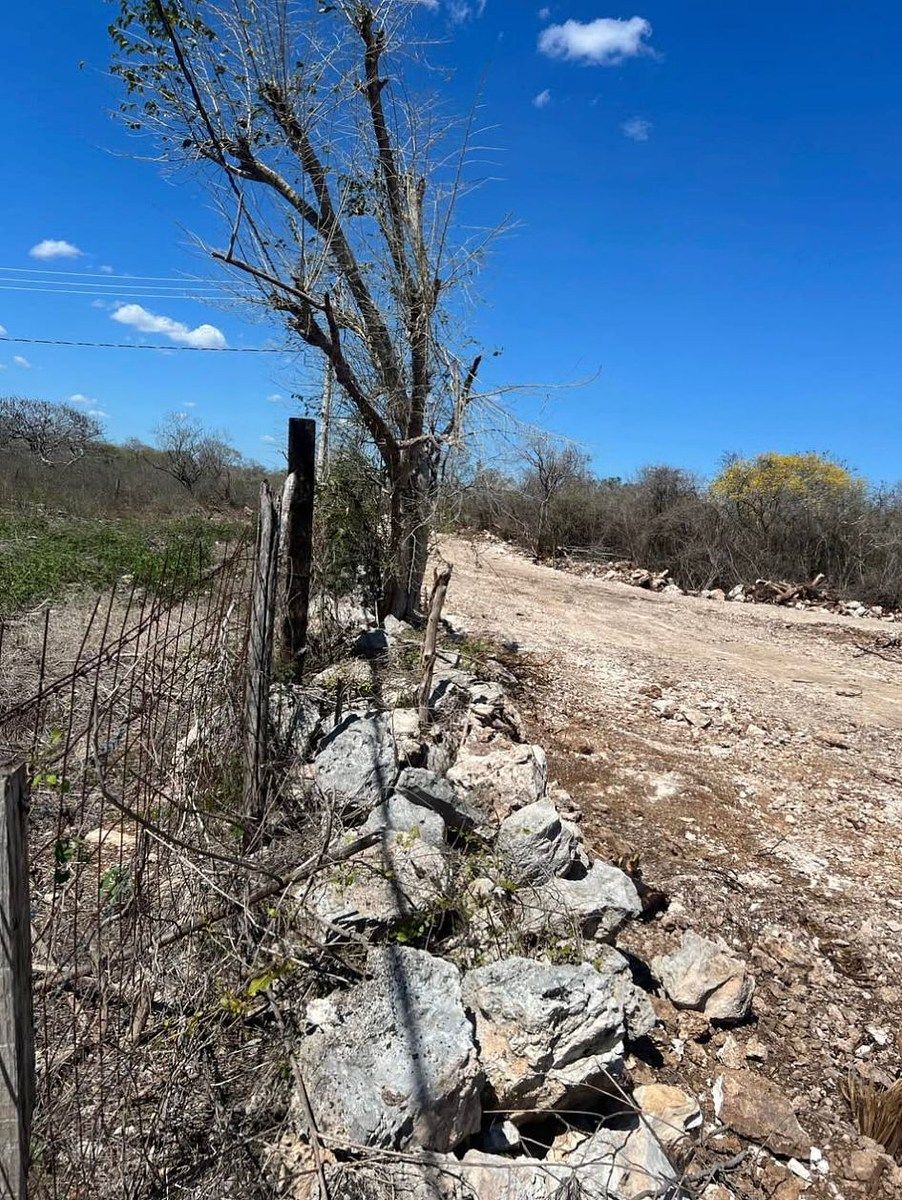 Lot in Centro Umán, Umán, photo 2 of 7