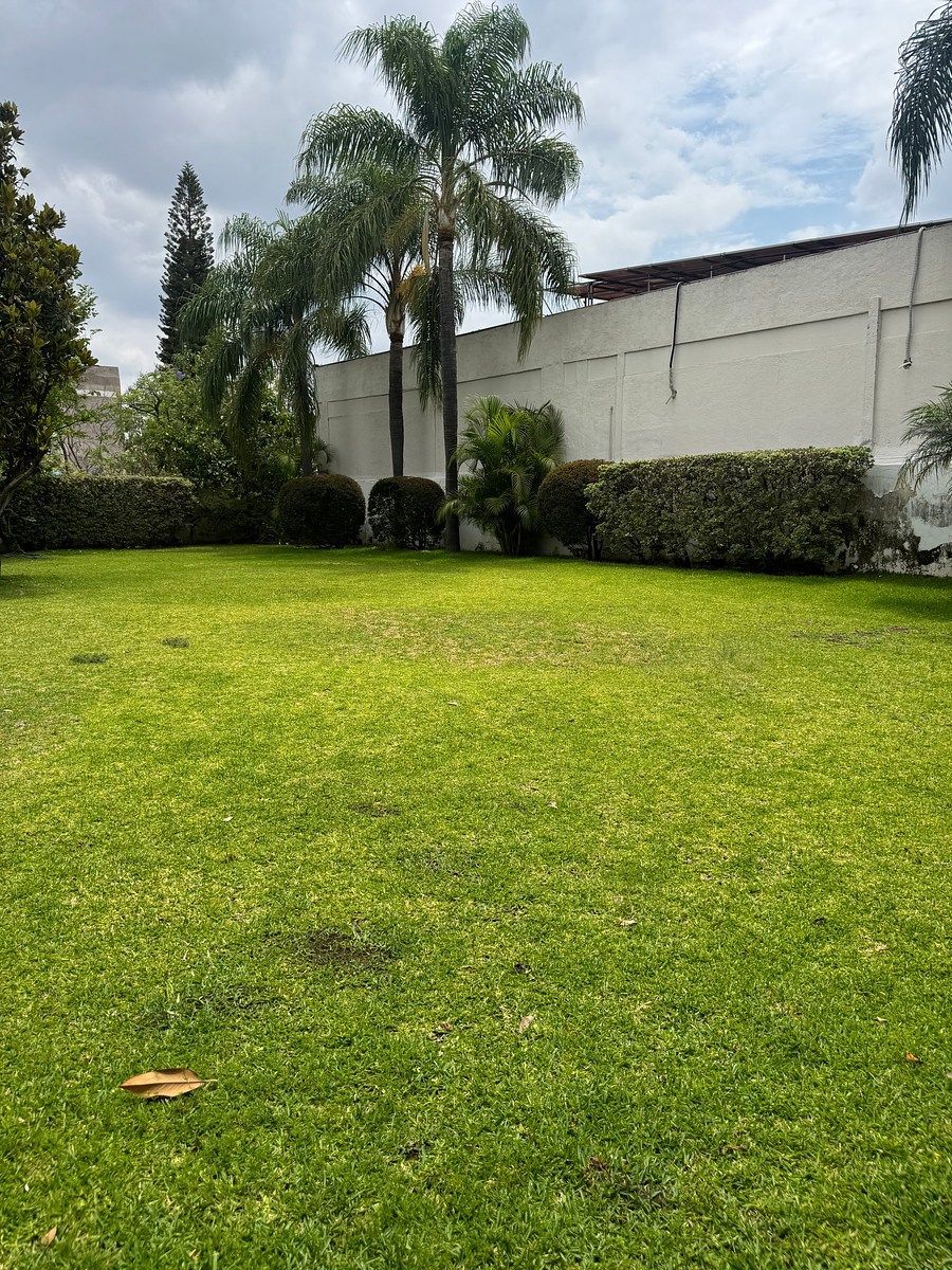 Office in Jacarandas, Zapopan, photo 7 of 33