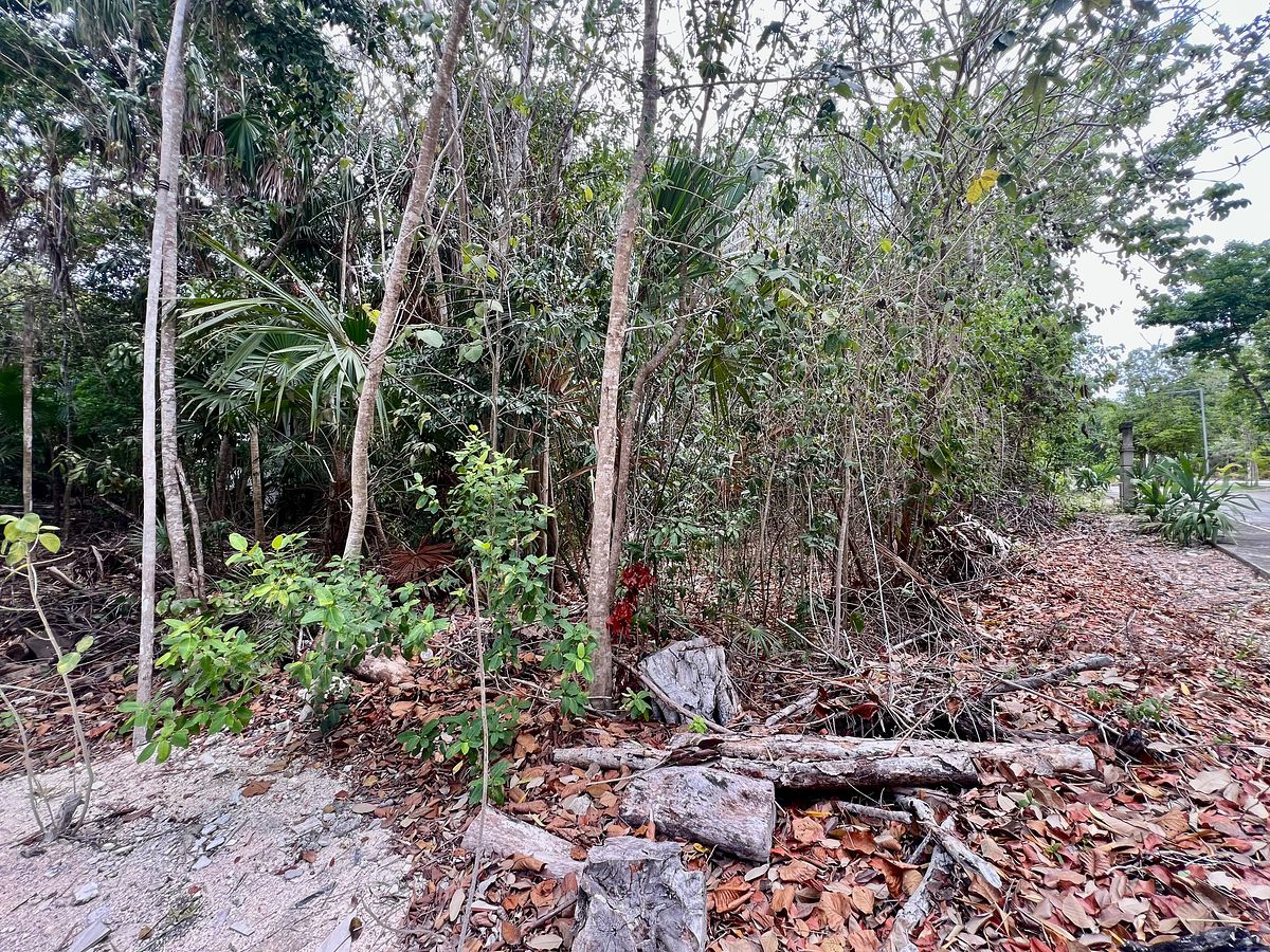 Lote em Puerto Morelos, Puerto Morelos, foto 11 de 20