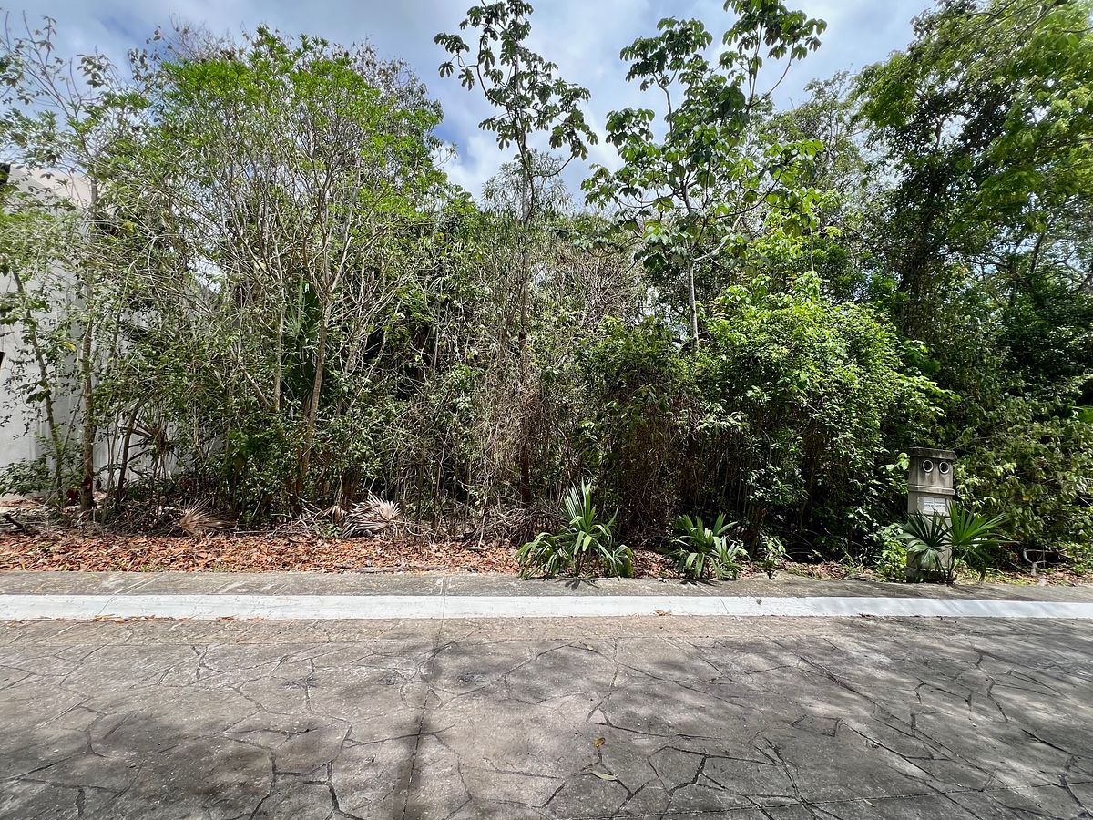 Lote em Puerto Morelos, Puerto Morelos, foto 12 de 20