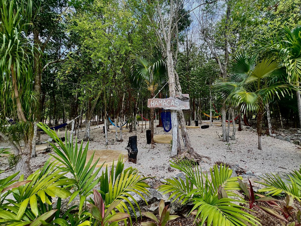 Lote em Puerto Morelos, Puerto Morelos, foto 16 de 20