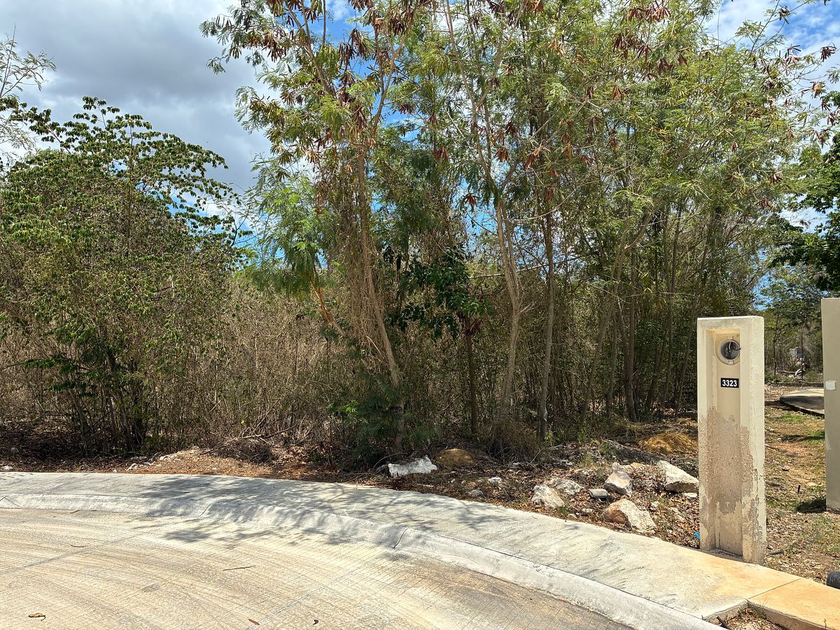 Lote em Tamanché, Mérida, foto 2 de 14