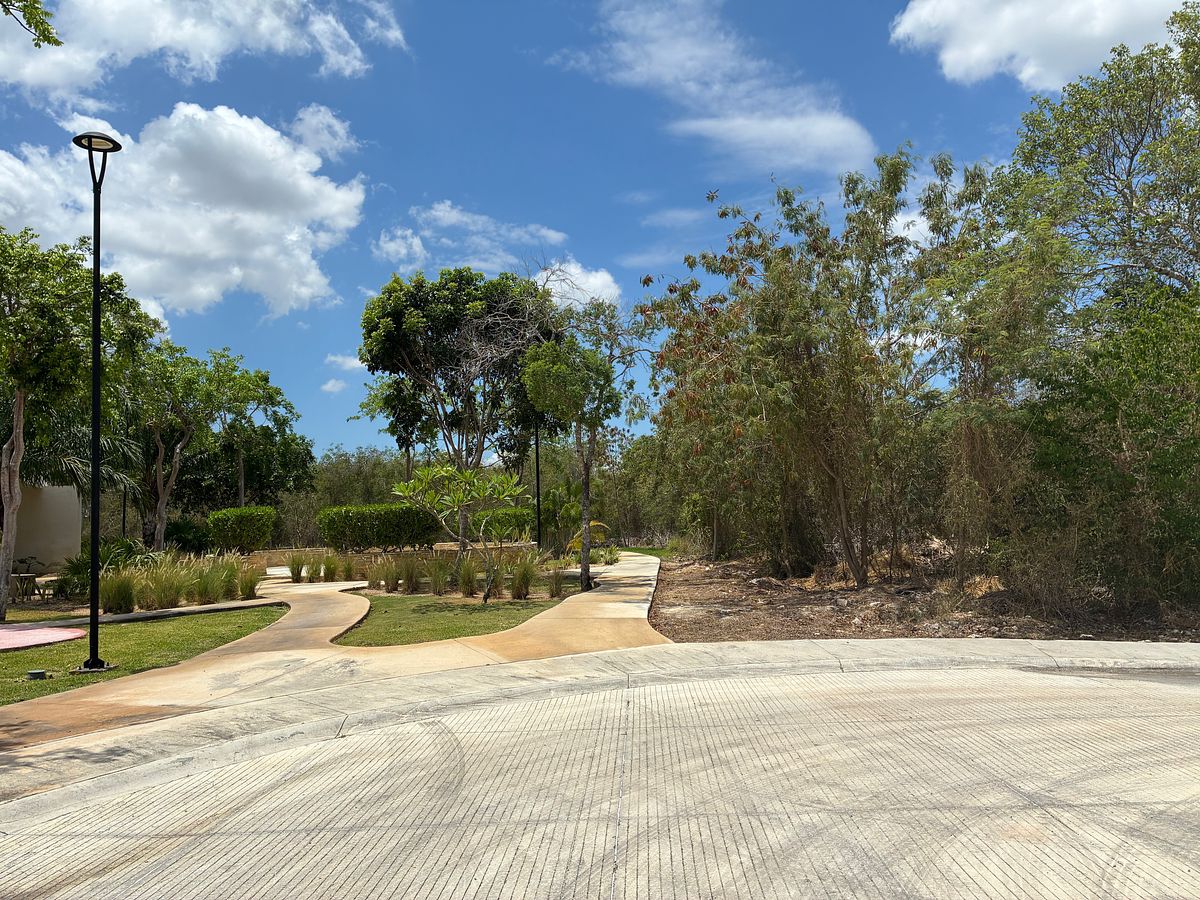 Lote em Tamanché, Mérida, foto 6 de 14