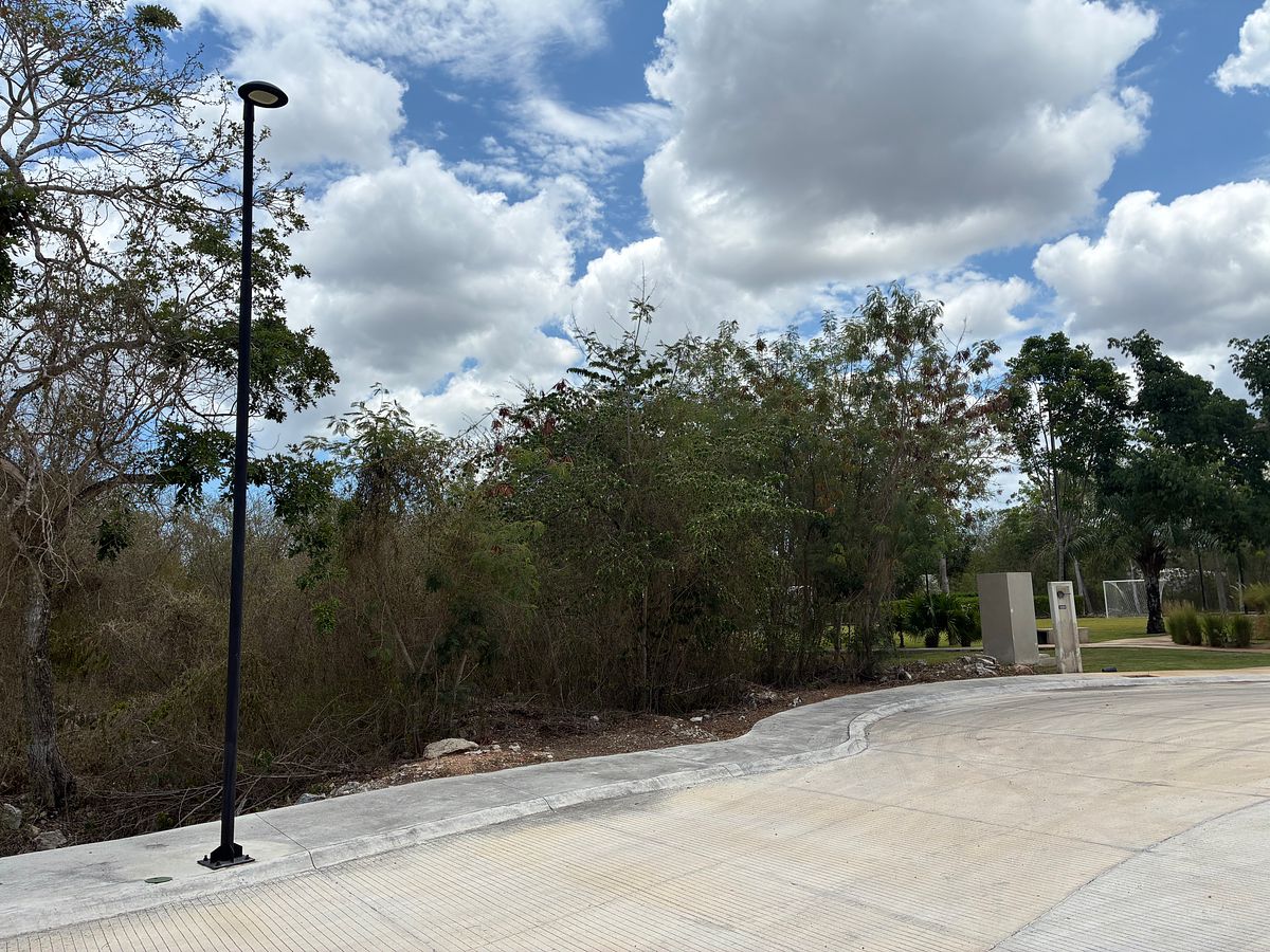 Lote em Tamanché, Mérida, foto 12 de 14