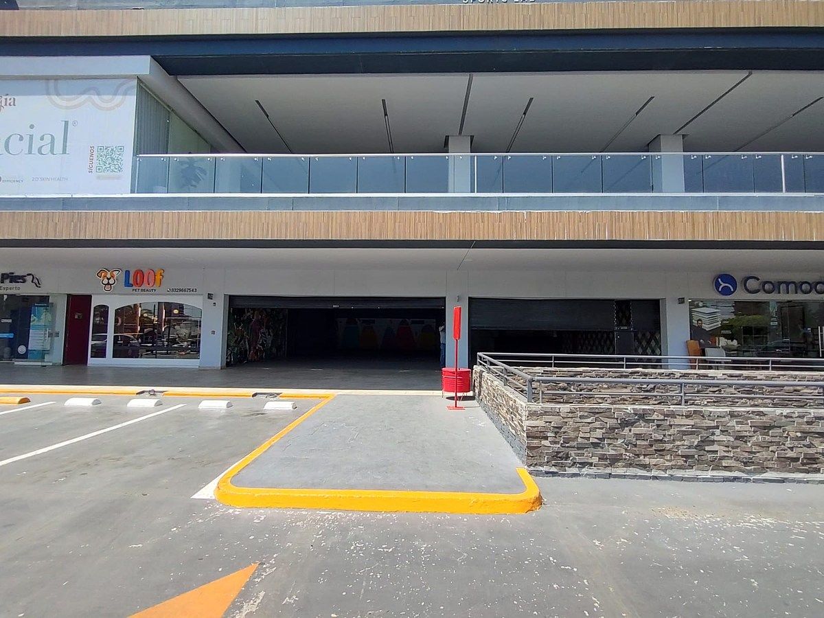 Shopping Mall Space in Arcos de Guadalupe, Zapopan, photo 4 of 5