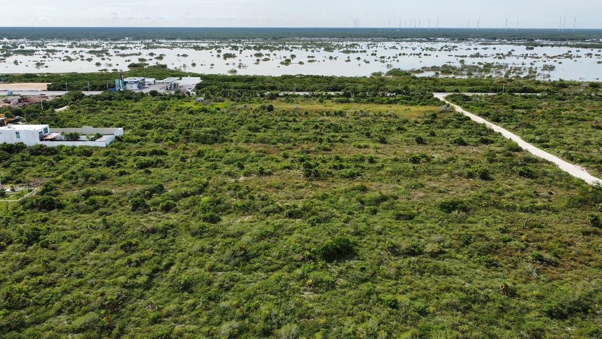 Terreno en venta ubicado en Chicxulub Puerto, foto 1 de 5
