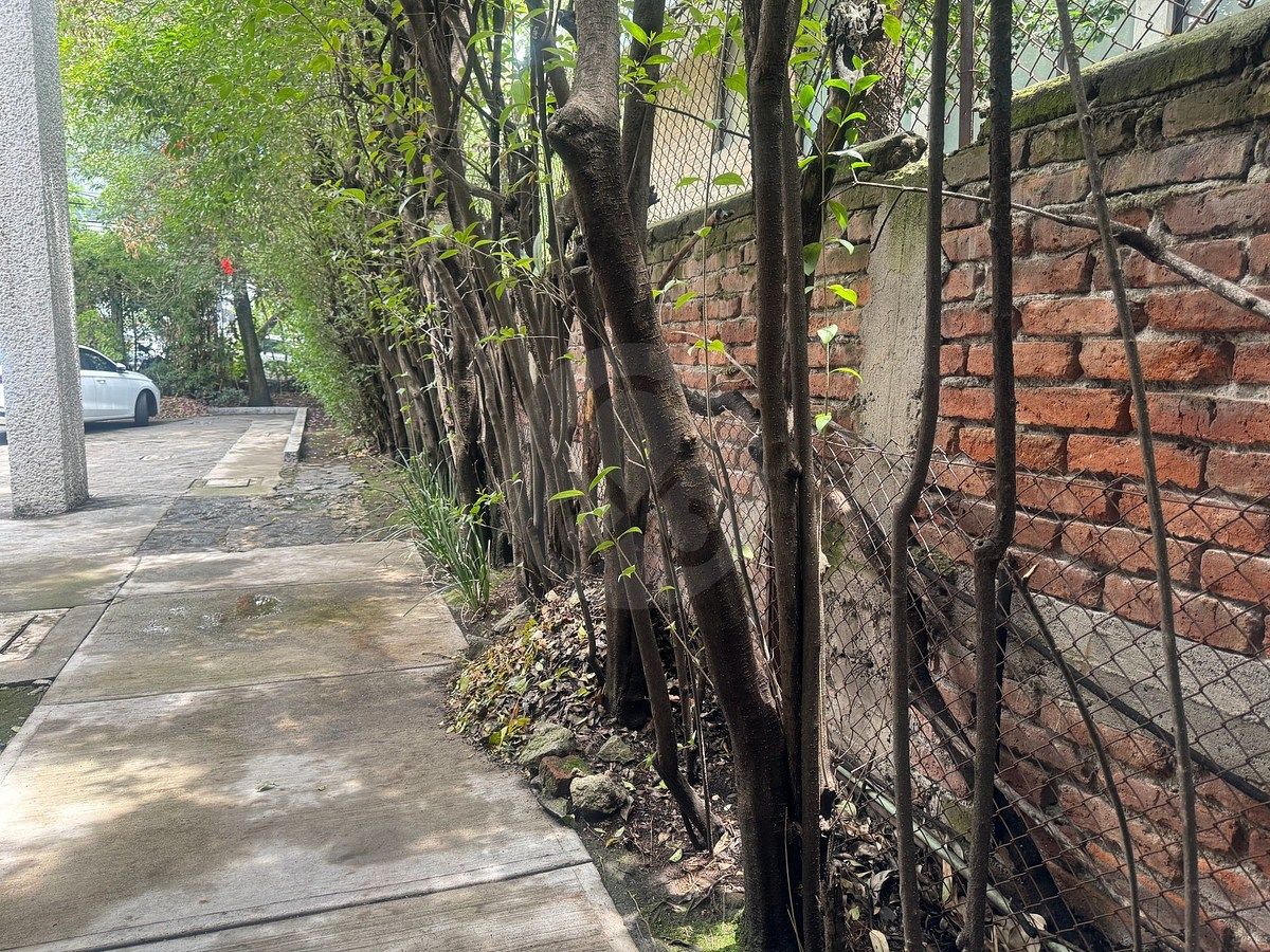 Casa em Lomas de Chapultepec V Sección, Miguel Hidalgo, foto 5 de 50