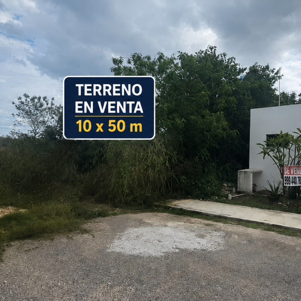 Terreno en Dzityá, Mérida, foto 2 de 2