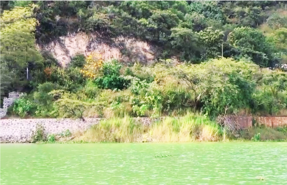 Terreno en San Gaspar, Valle de Bravo, foto 3 de 8