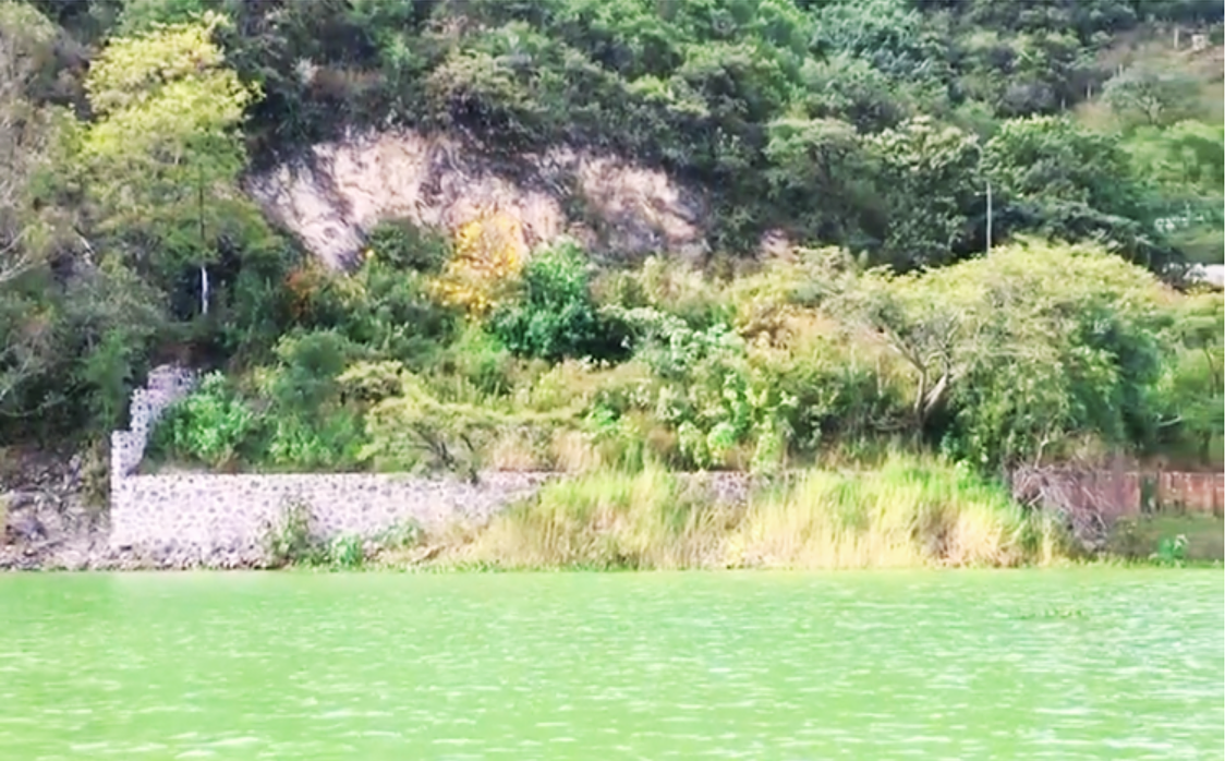 Terreno en San Gaspar, Valle de Bravo, foto 4 de 8