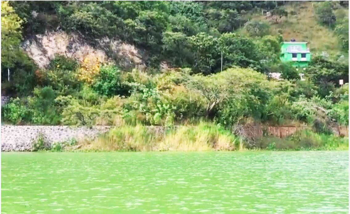 Terreno en San Gaspar, Valle de Bravo, foto 5 de 8