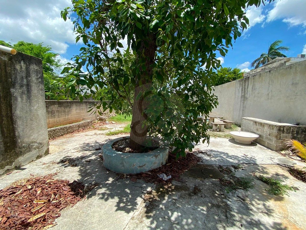 Lote em Cortes Sarmiento, Mérida, foto 19 de 21