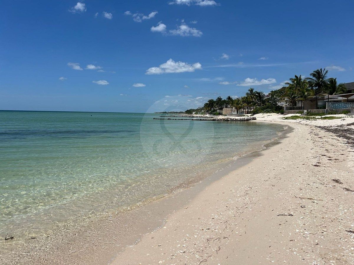 Lot in Chicxulub, Chicxulub Pueblo, photo 10 of 16