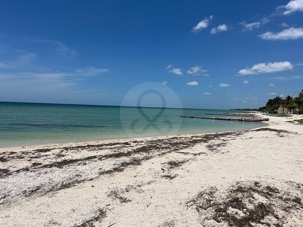 Lot in Chicxulub, Chicxulub Pueblo, photo 13 of 16
