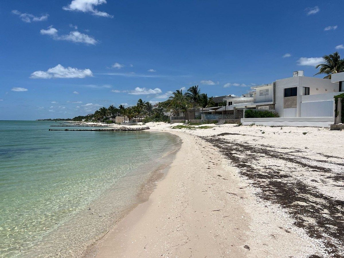 Lot in Chicxulub, Chicxulub Pueblo, photo 15 of 16