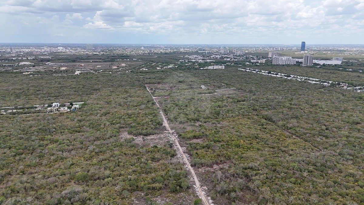 Lote em Temozón Norte, Mérida, foto 4 de 23