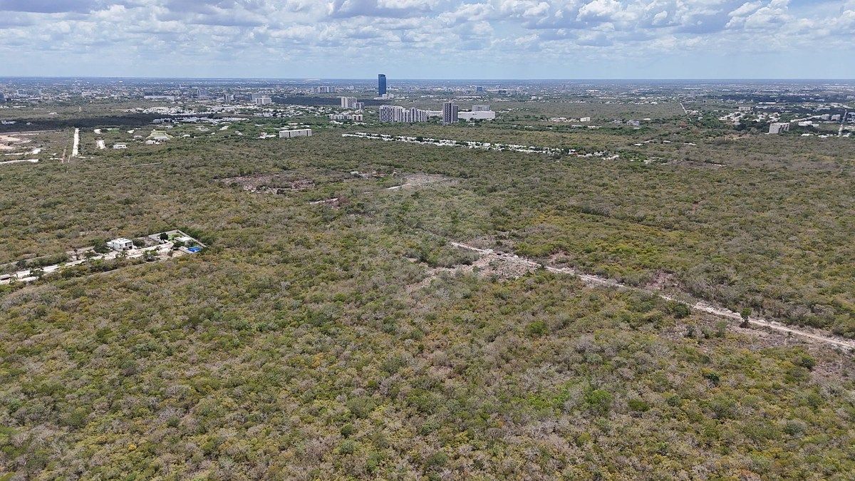 Lote em Temozón Norte, Mérida, foto 9 de 23