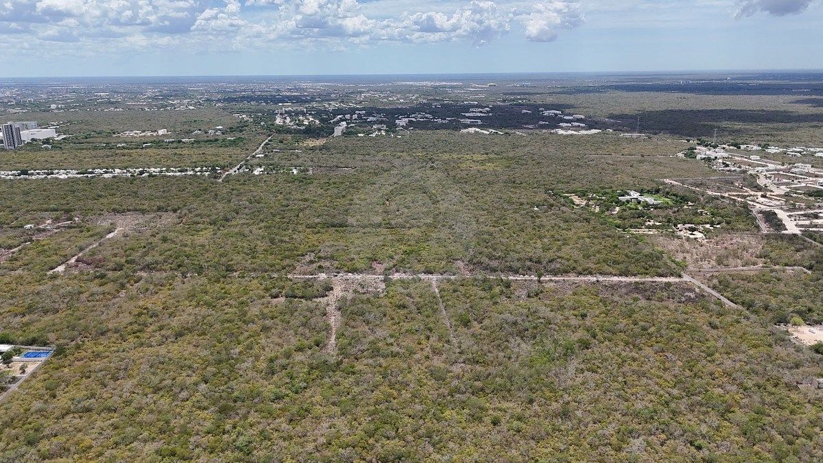 Lote em Temozón Norte, Mérida, foto 10 de 23