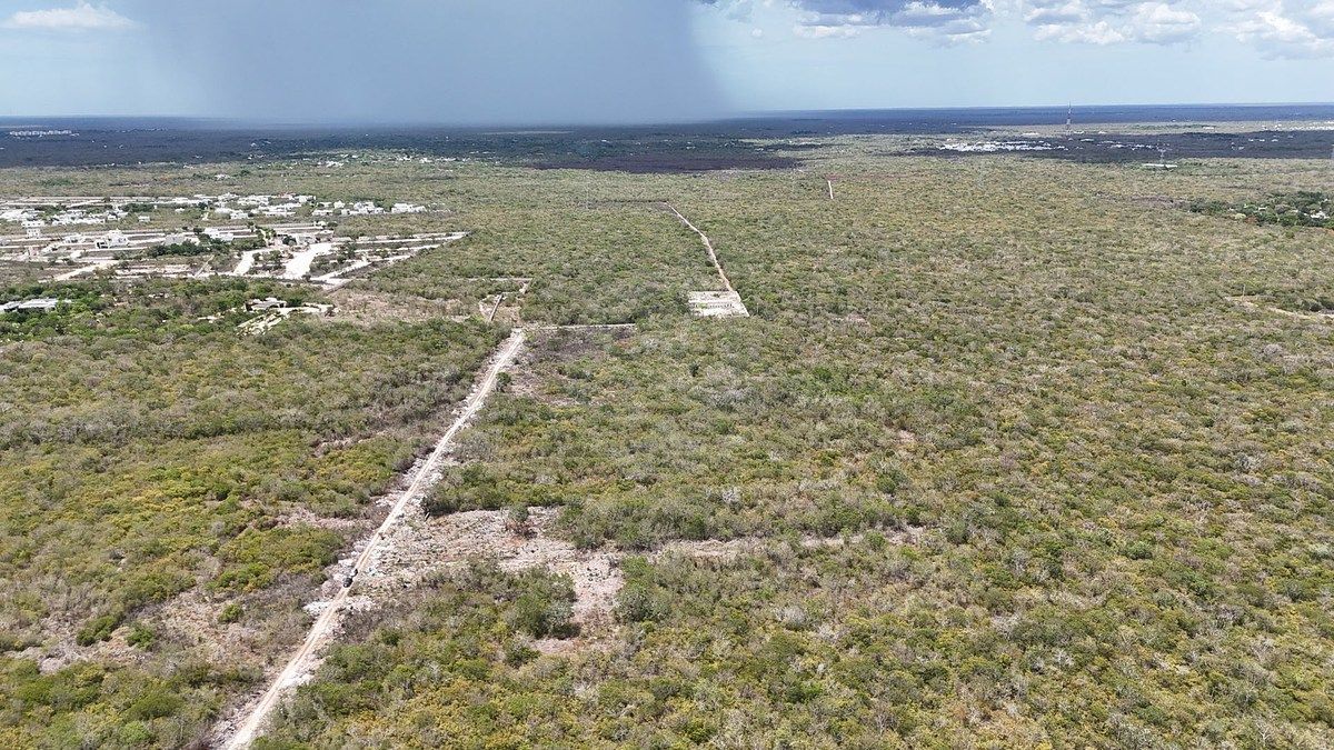 Lote em Temozón Norte, Mérida, foto 13 de 23