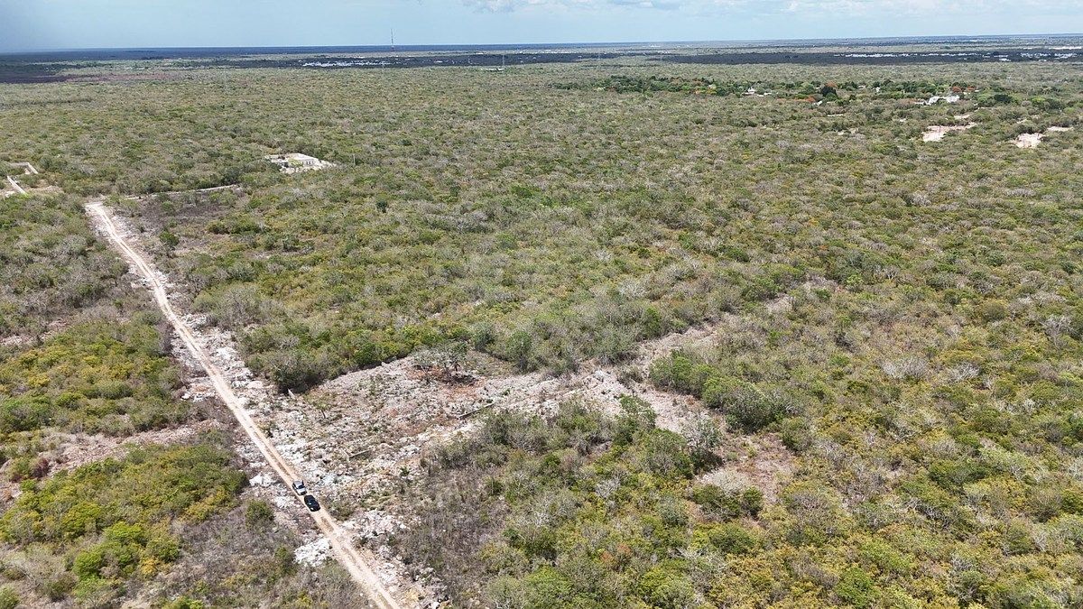 Lote em Temozón Norte, Mérida, foto 20 de 23