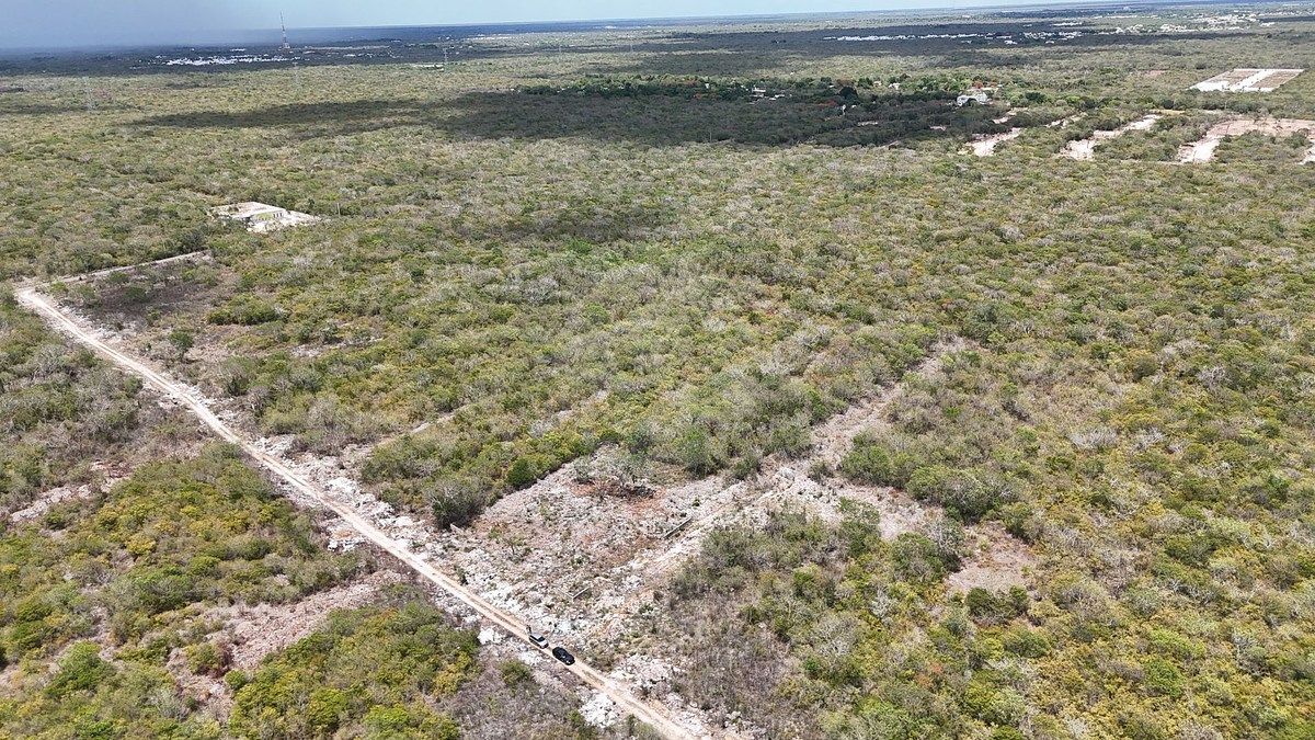 Lote em Temozón Norte, Mérida, foto 21 de 23