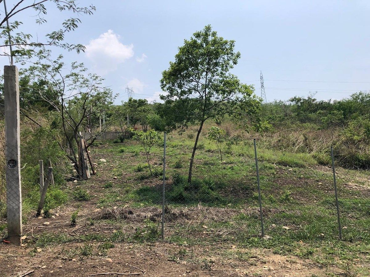 Lote em Rivera Cupia, Chiapa de Corzo, foto 4 de 30