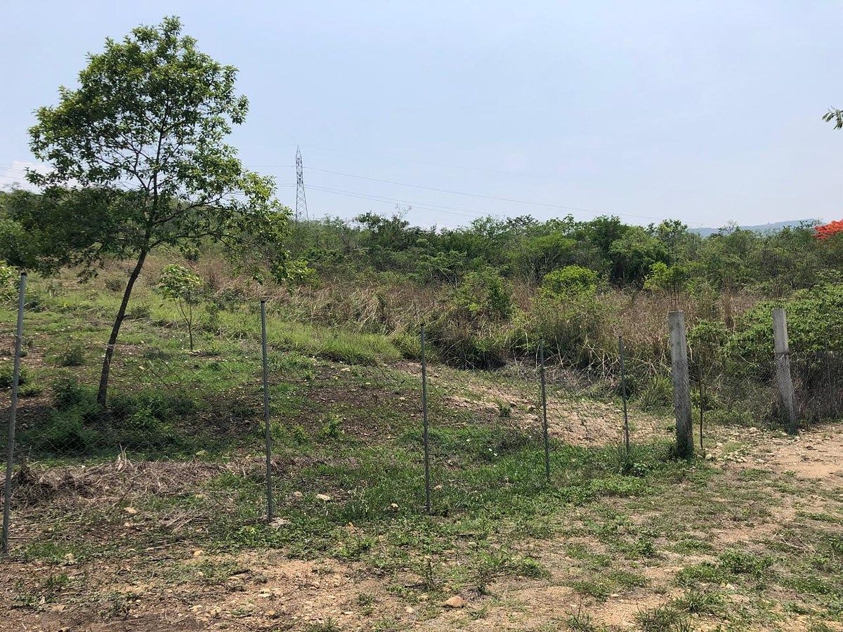 Lote em Rivera Cupia, Chiapa de Corzo, foto 13 de 30